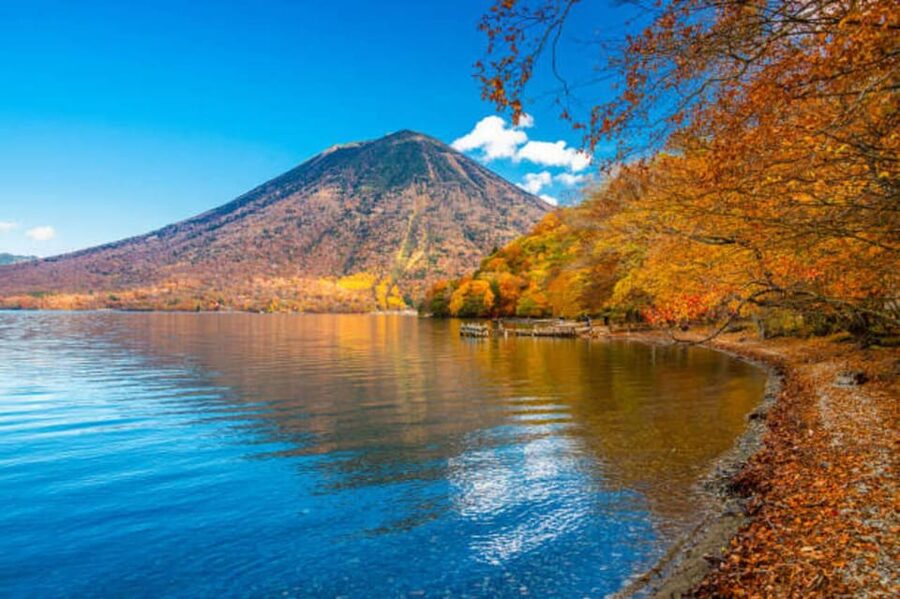 From Tokyo: Nikko Toshogu Day tour with Traditional Lunch - A One-Day Nikko Plan That Packs the Big Moments