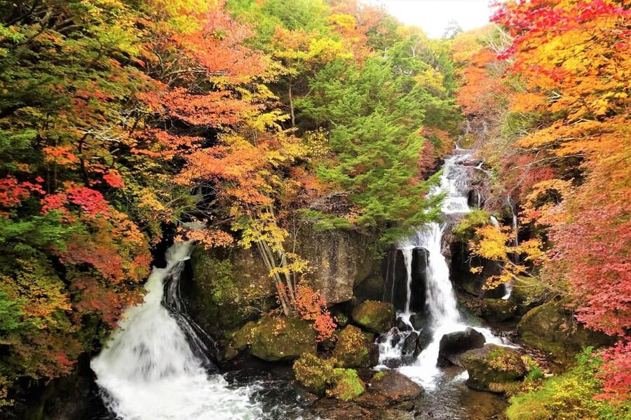 From Tokyo: Nikko World Heritage Site Private Full-Day Trip - First Get Out of Tokyo, in a Real Private Vehicle
