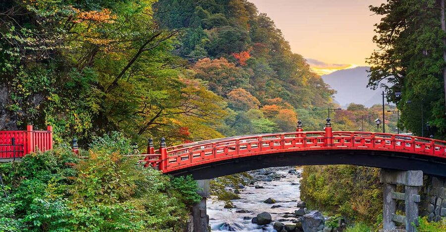 From Tokyo: Nikko World Heritage Site Private Full-Day Trip - Lunch in Nikko: You Pick the Fuel, the Driver Handles the Timing