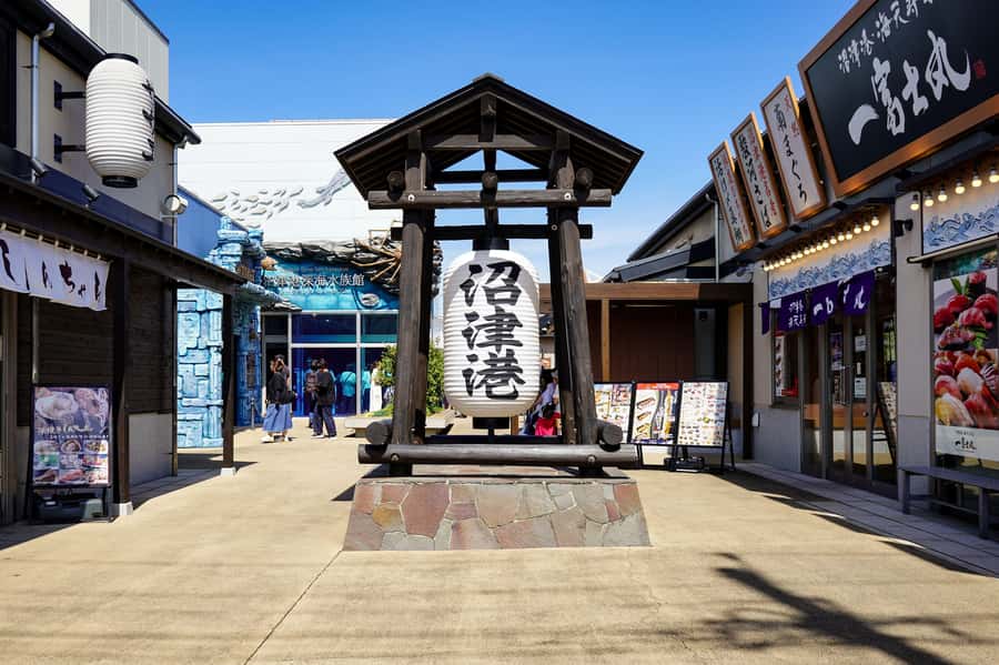 From Tokyo: Numazu Port and Gotemba Outlets Day Tour - Key things I’d mark on your mental map