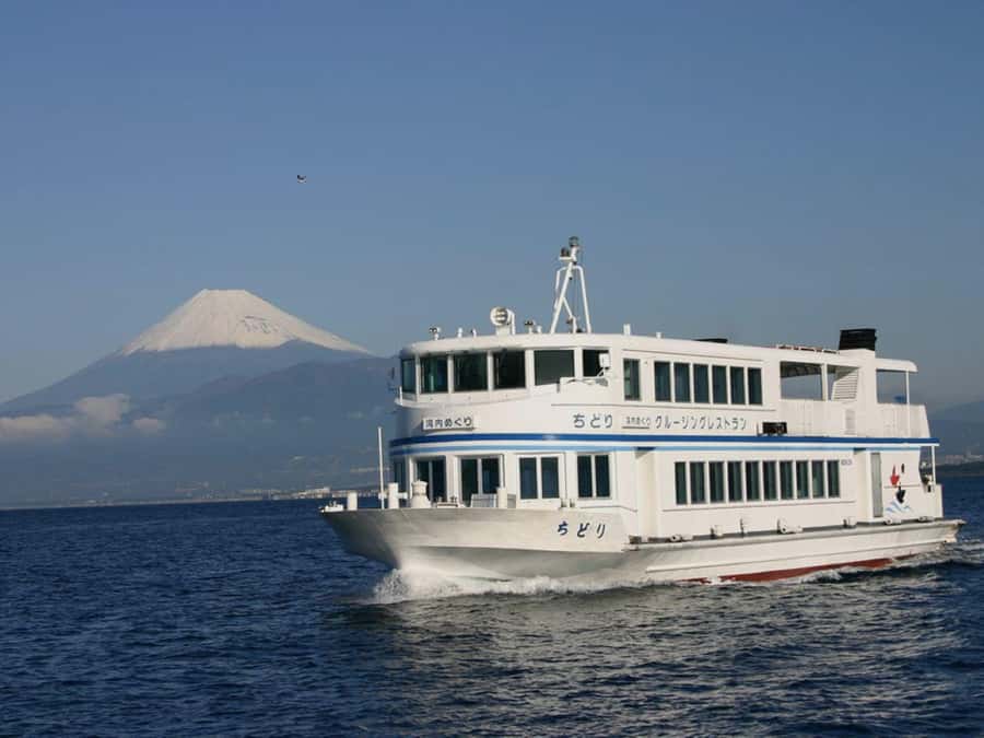From Tokyo: Numazu Port and Gotemba Outlets Day Tour - What you’re really buying with the $64 price tag