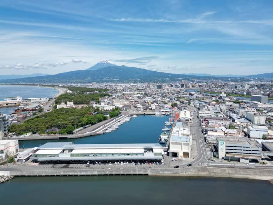 From Tokyo: Numazu Port and Gotemba Outlets Day Tour - Who this tour fits best, and who should skip it