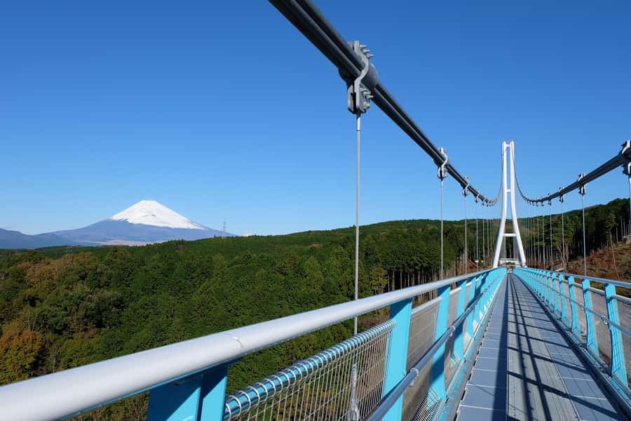 From Tokyo: Numazu Port and Gotemba Outlets Day Tour - Should you book this one-day Numazu Port and Gotemba outlet tour?