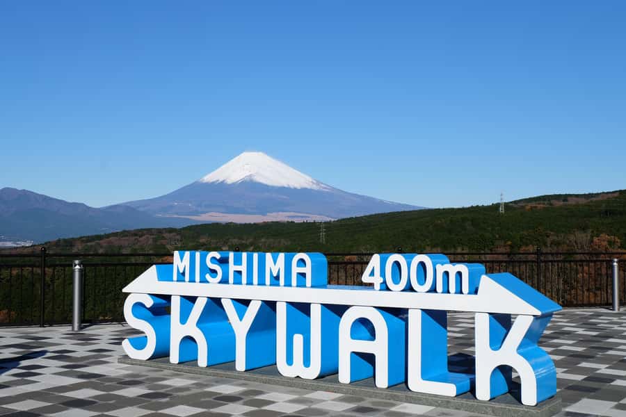 From Tokyo: Numazu Port and Gotemba Outlets Day Tour - Gotemba Premium Outlets, where shopping meets Fuji views