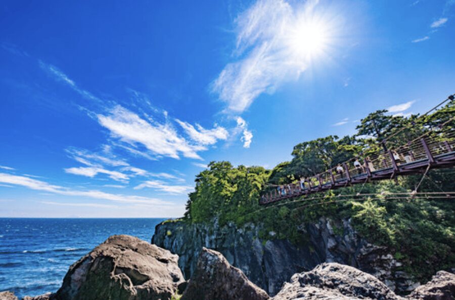 From Tokyo: Private Day Trip to Izu & Shimoda, Shizuoka - Why Izu and Shimoda Work So Well From Tokyo