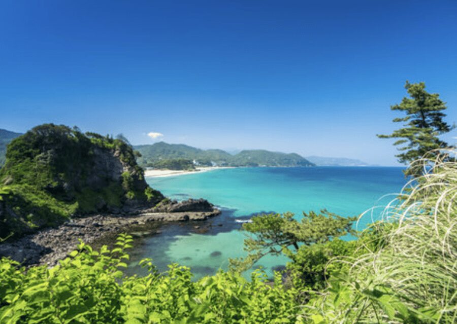 From Tokyo: Private Day Trip to Izu & Shimoda, Shizuoka - Price and Logistics: Is $735 Per Group Good Value?