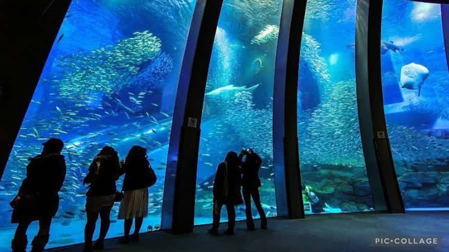 From Tokyo: Private Full day Yokohama Tour w/Hotel Pick up - A private 12-hour Yokohama day, built to reduce stress