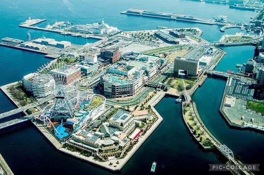 From Tokyo: Private Full day Yokohama Tour w/Hotel Pick up - Who this private Yokohama day suits best