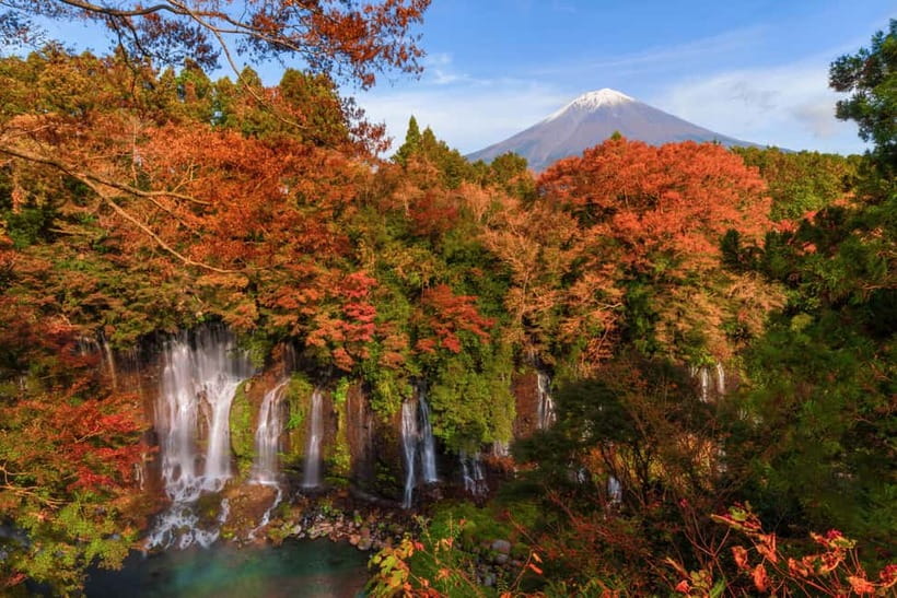 From Tokyo: Private JDM/Sports Car Tour to Mt Fuji & Hakone - Tenzan Onsen Lunch and Soak Time: The Real Reset Button