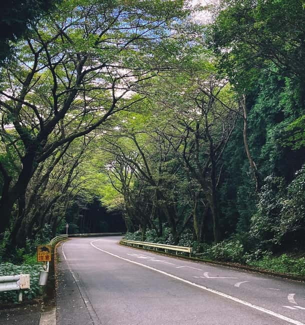 From Tokyo: Private Motorcycle Tour - Fuji, Hakone, Onsen - Hakone Open-Air Museum and Pola Museum of Art Stops