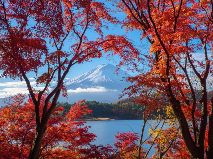 From Tokyo: Private Motorcycle Tour - Fuji, Hakone, Onsen - Safety, Guides, and How Flexibility Works
