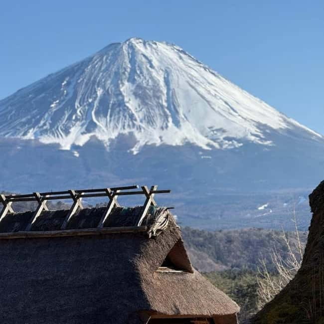 From Tokyo Private Mount Fuji & Hakone Day Trip With Pick Up - Key things that make this day trip work