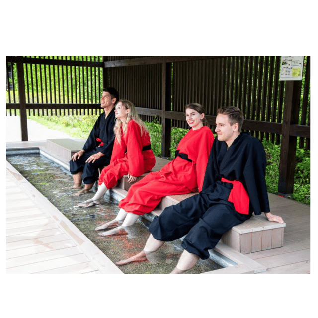 From Tokyo Private Mount Fuji & Hakone Day Trip With Pick Up - Luxury vehicles, Wi-Fi hotspot, and the food question