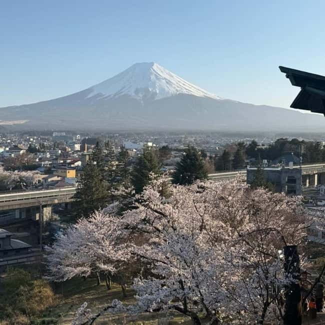 From Tokyo Private Mount Fuji & Hakone Day Trip With Pick Up - Lake Kawaguchiko: the Fuji Five Lakes moment