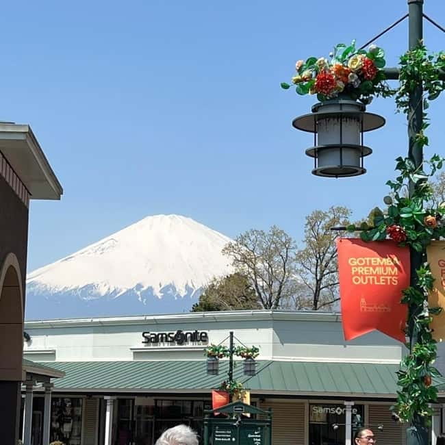 From Tokyo Private Mount Fuji & Hakone Day Trip With Pick Up - Oishi Park: gardens with Fuji in the background