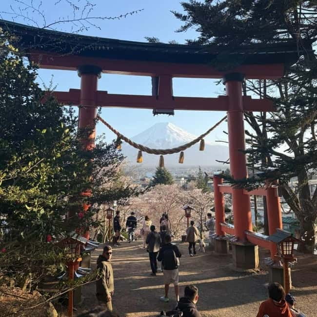 From Tokyo Private Mount Fuji & Hakone Day Trip With Pick Up - Hakone Ropeway: aerial views over volcanic terrain