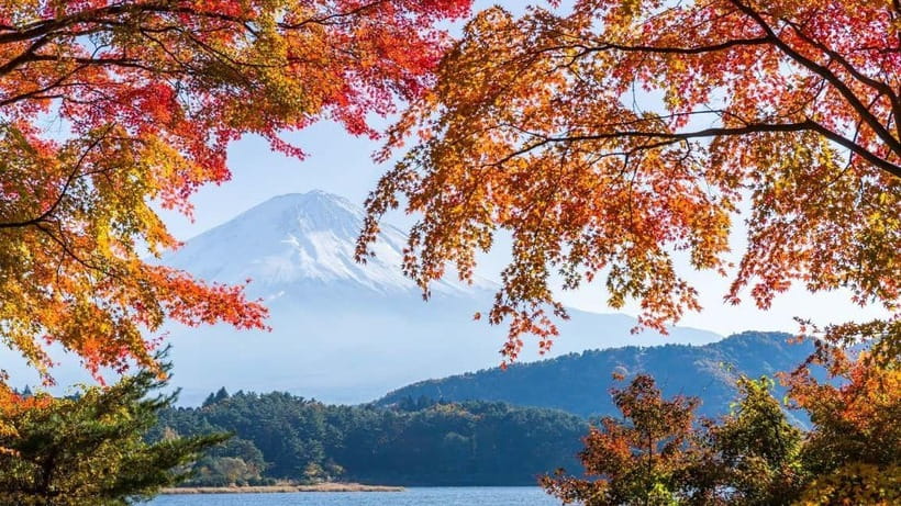 From Tokyo: Private Mt. Fuji and Hakone Tour by Car - Private car access from Tokyo, without the day feeling like a chore