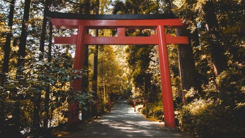 From Tokyo: Private Mt. Fuji and Hakone Tour by Car - Mt. Kachi Kachi Ropeway and Saiko Iyashi-no-Sato Nenba: balance and variety