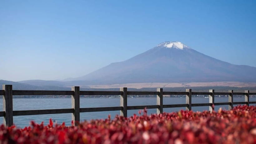 From Tokyo: Private Mt. Fuji and Hakone Tour by Car - Your driver: English help, careful driving, and photo-friendly service