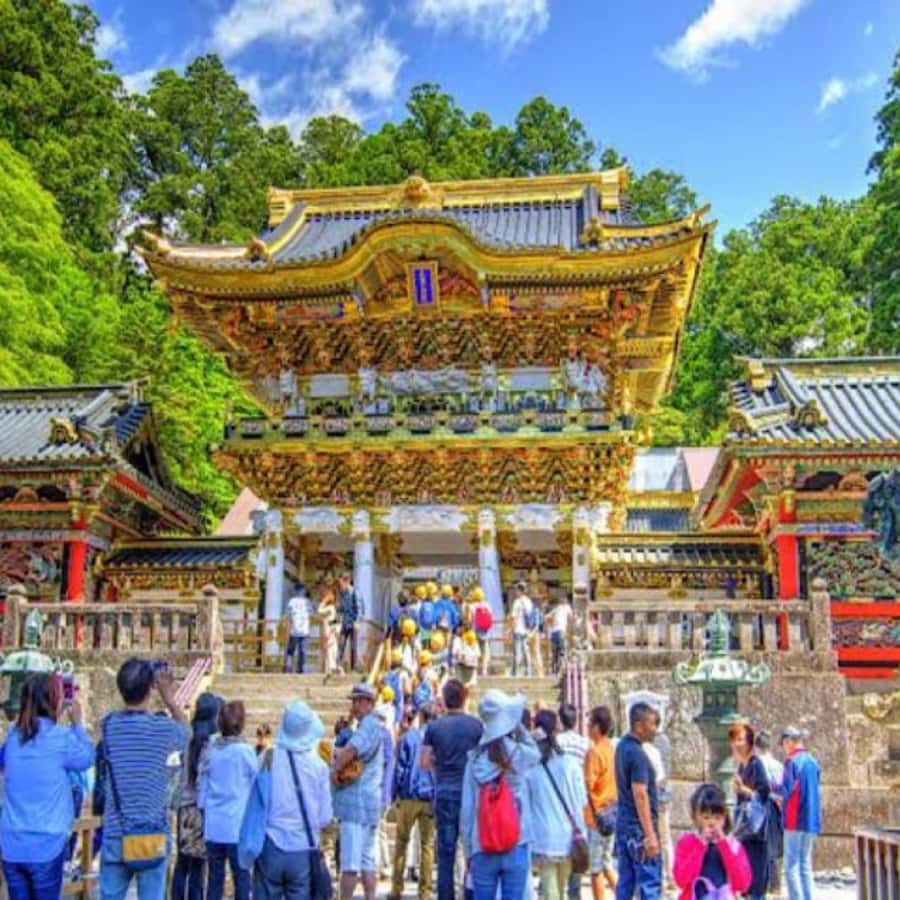 From Tokyo: Private Nikko World Heritage Sights One Day Trip - Shinkyo Bridge over the Daiya River