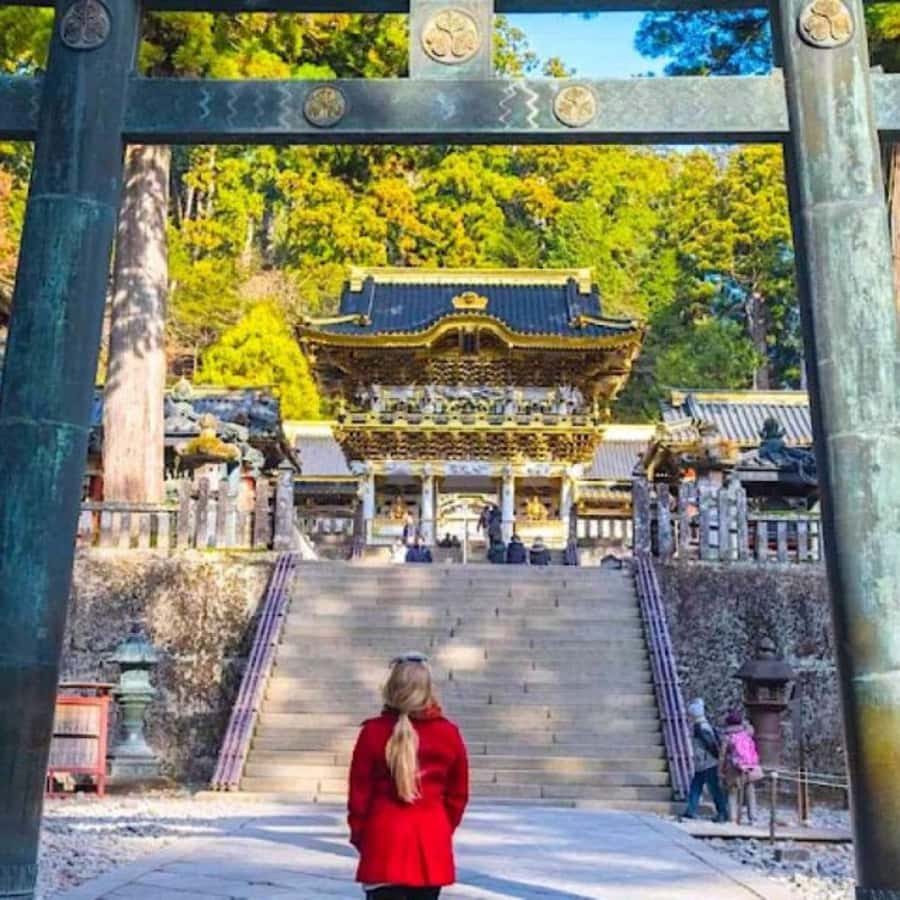 From Tokyo: Private Nikko World Heritage Sights One Day Trip - Kegon Falls: how to make the most of your hour