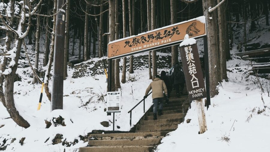 From Tokyo: Private Tour Snow Monkey Park & Zenko-ji Temple - Shibu Onsen: The Onsen Town Pause That Breaks Up the Drive