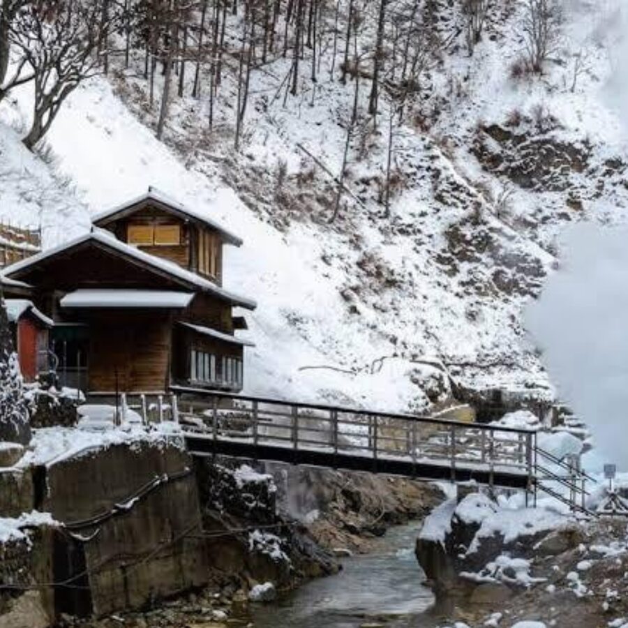 From Tokyo: Private Tour Snow Monkey Park & Zenko-ji Temple - Obuse: Walkable Charm and a Food-Friendly Stroll