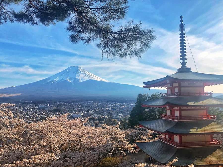 From Tokyo: Private Trip to Mount Fuji and Lake Kawaguchi - Pickup, timing, and how you stay in control