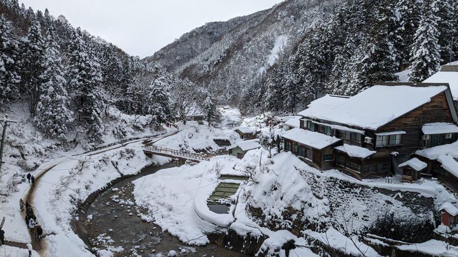 From Tokyo: Snow Monkey 1 Day Tour with Beef Sukiyaki Lunch - Jigokudani Monkey Park: how to watch snow monkeys without ruining the moment