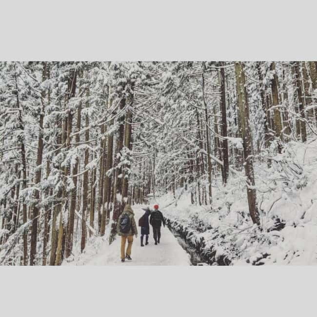 From Tokyo: Snow Monkey Park and Miso Production Day Tour - Jigokudani Monkey Park: your best shot at snow monkeys in hot springs