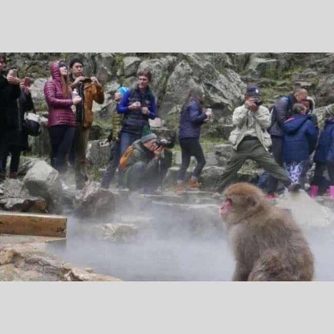 From Tokyo: Snow Monkey Park and Miso Production Day Tour - Zenko-ji Temple: an hour that keeps the spirituality from becoming a blur