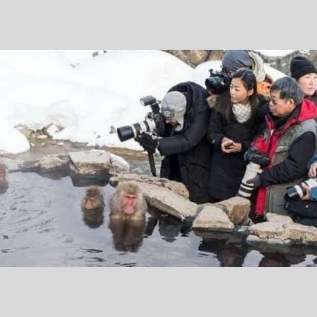 From Tokyo: Snow Monkey Park and Miso Production Day Tour - Shibu Onsen: the “last hour reset” after a long mountain day