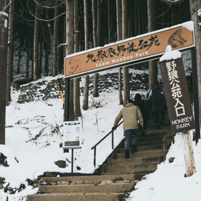 From Tokyo: Snow Monkey Park & Zenko-ji Temple Private Tour - Why Nagano Makes Sense as a Tokyo Day Trip