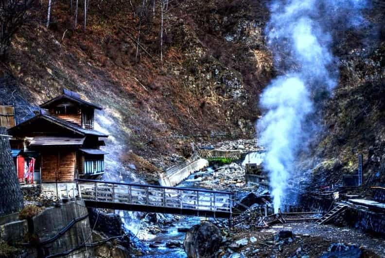 From Tokyo: Snow Monkey & Zenkoji Private Customize Tour - Jigokudani Snow Monkey Park: your hour with the hot-spring macaques