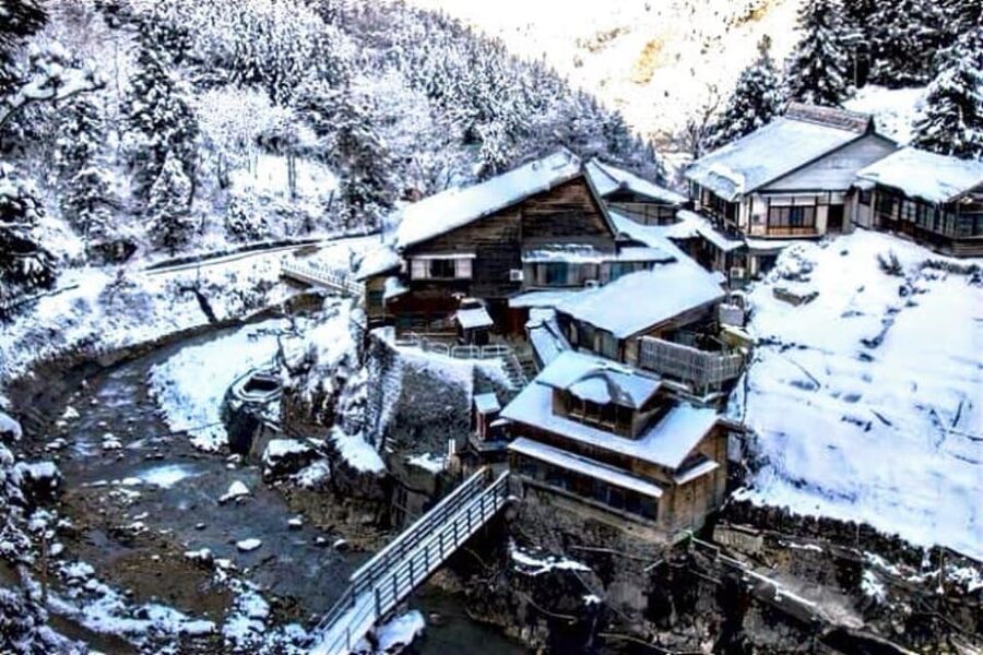 From Tokyo: Snow Monkey & Zenkoji Private Customize Tour - Price and value: what $450 per group gets you