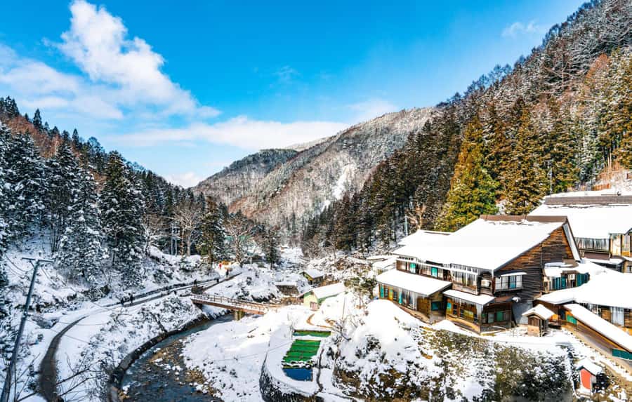 From Tokyo: Snow Monkeys and Zenkoji Temple Day Trip - Who this tour suits best