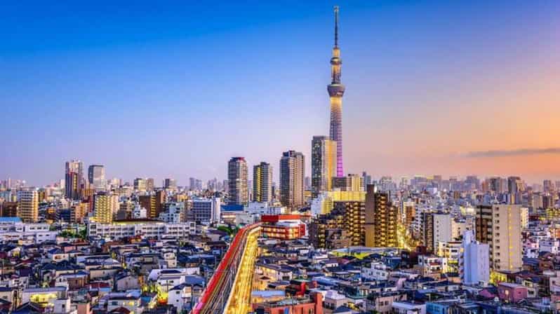 From Tokyo: Tokyo Private Customize Tour With English Driver - How Private Car Time Changes Your Tokyo Day