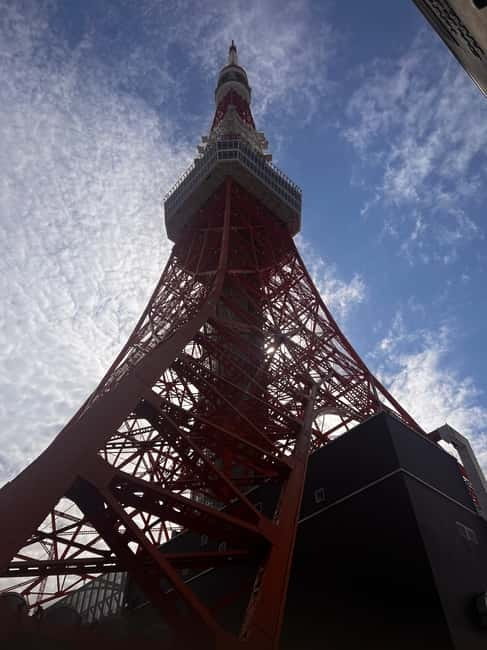 From Tokyo: Tokyo Private Customize Tour With English Driver - Meiji Shrine, Forest Calm Right Next to the City