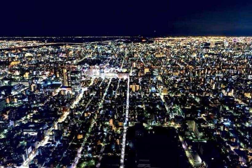 From Tokyo: Tokyo Private Customize Tour With English Driver - Tokyo Skytree Views, Planning for Clear Skies