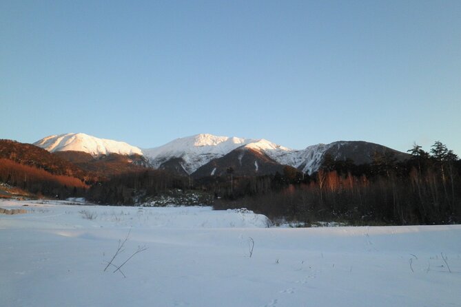 Frozen fall trekking - Key Things I’d Put at the Top
