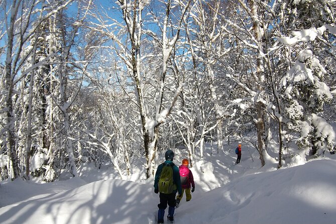 Frozen fall trekking - How to Think About Lunch and Energy