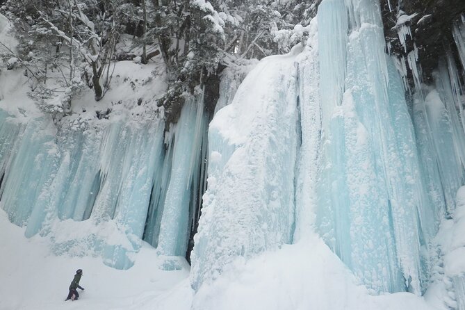 Frozen fall trekking - Forest Bathing in Shinrin-yoku Mode, Not Just a Walk