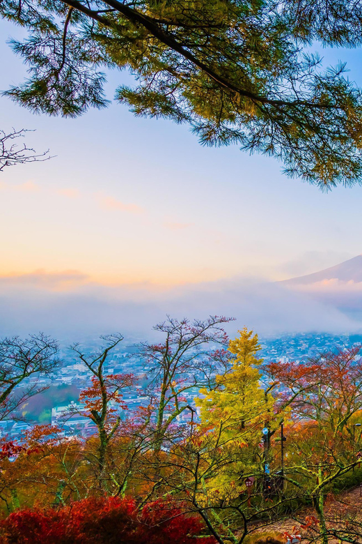 Fuji/Hakone Private Tour, English speaking guide, Photograph - Key Highlights I’d Plan Around