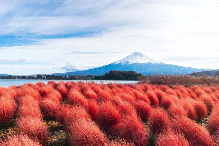 Fuji/Hakone Private Tour, English speaking guide, Photograph - Mount Fuji 5th Station and Chureito Pagoda: The Two Big View Payoffs