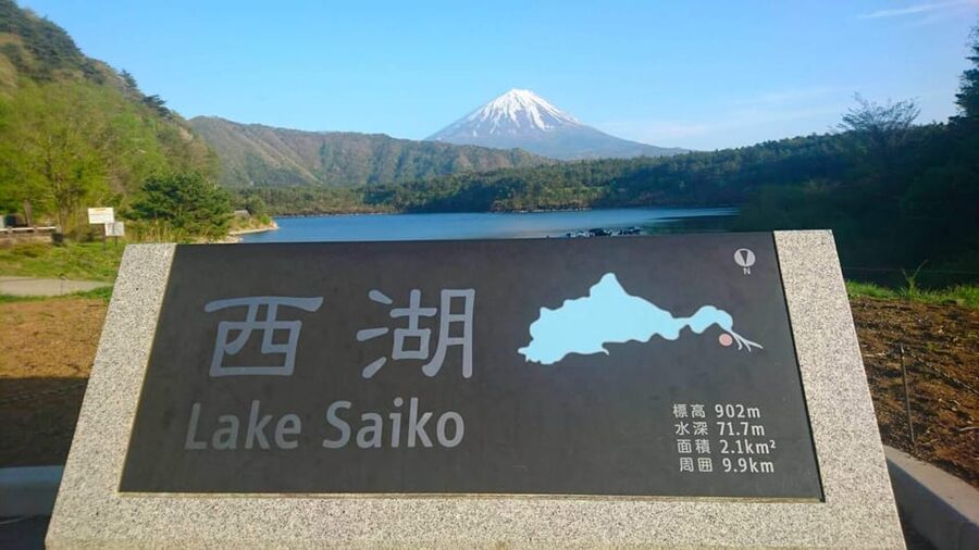 Fuji/Hakone Private Tour, English speaking guide, Photograph - Oishi Park and the Flower-and-Coffee Pause