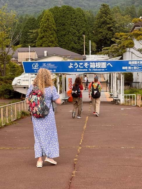 Fuji,Hakone Ropeway/Cruise/Shinkansen Ride w/lunch frm Tokyo - Who this Fuji Hakone Shinkansen day trip suits best