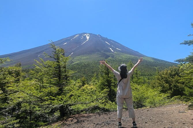 Fuji Photo Tour - Oishi Park (20 minutes): flowers, and color when lavender is in season