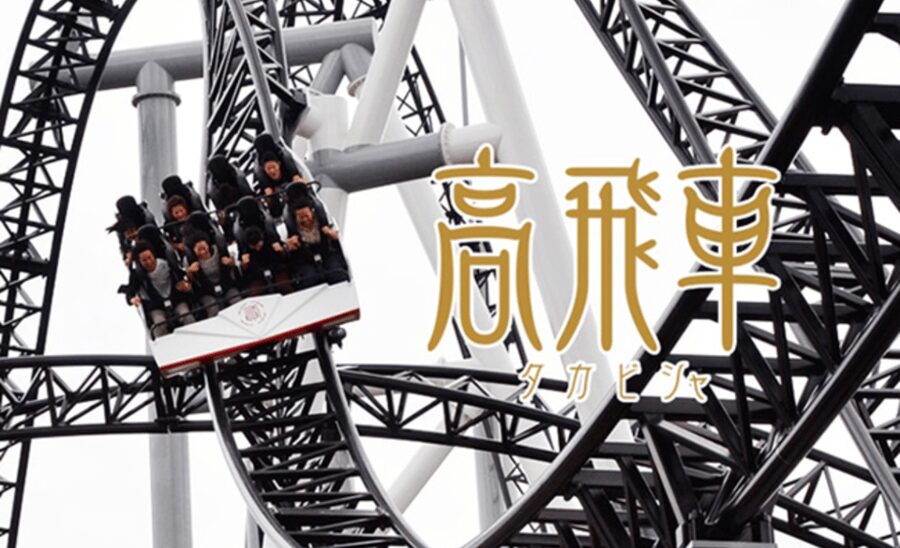 Fuji-Q Highland Amusement Park:Private Day tour by Alphard - Who should book this Fuji-Q Highland private day tour