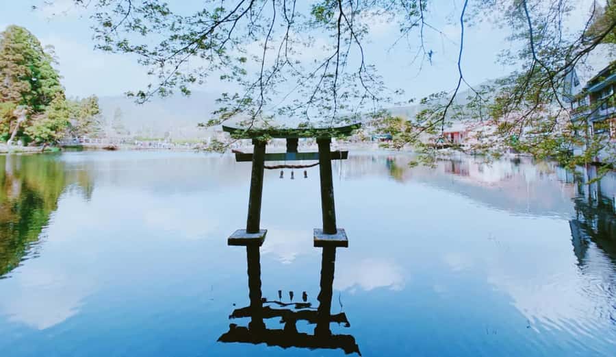 Fukuoka: Beppu Hells HotSpring, Frog Temple & Yufuin DayTrip - Price and value: what you get for $96