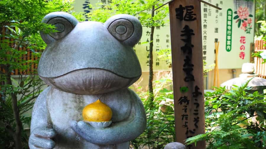 Fukuoka: Beppu Hells HotSpring, Frog Temple & Yufuin DayTrip - Nyoirin-ji Frog Temple: goofy, serene, and surprisingly meaningful